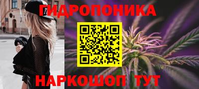 гашик Будённовск