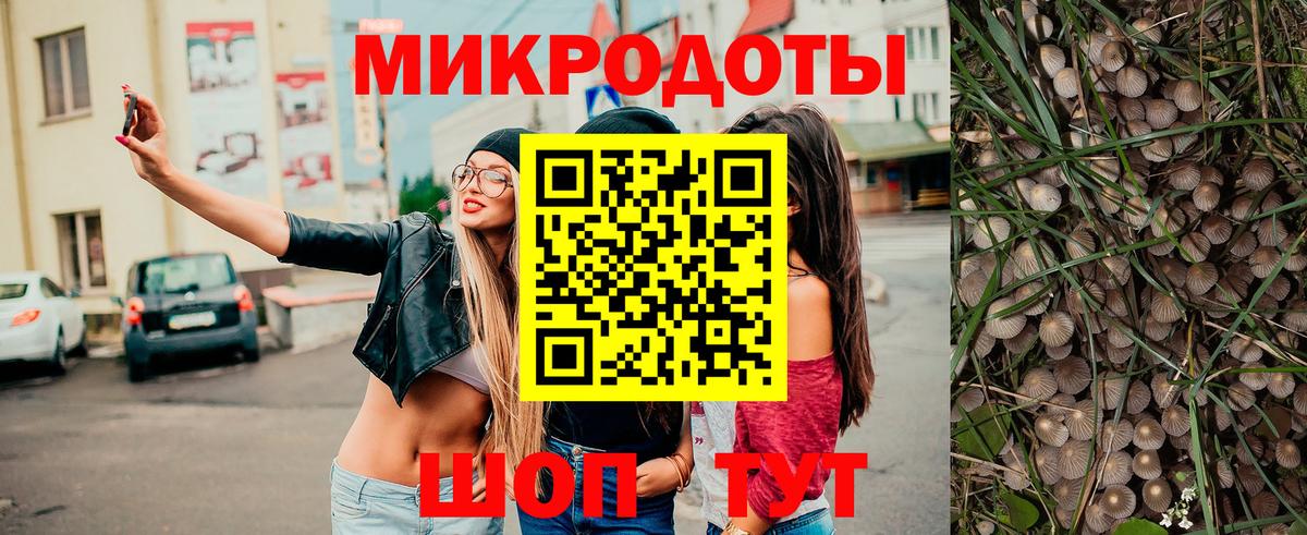 Галлюциногенные грибы MAGIC MUSHROOMS  Вход с VPN  Чайковский  Псилоцибиновые грибы Psilocybe 